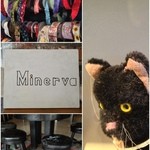 Minerva - 