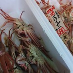 一和鮮魚店 - このズワイガニが680円て((( ；ﾟДﾟ)))ｶﾞｸｶﾞｸﾌﾞﾙﾌﾞﾙ