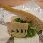 ほっくり筍～お豆腐を使った木の芽のソースでまろやかです