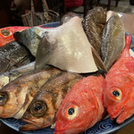 釣り魚の店舟武 - 