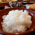 とんかつ みそ家 - 