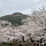 NOA NOA - お店の前から大文字山と桜