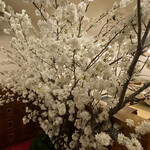 おけい鮨 - 立派な桜の木が室内に
