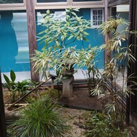 馳走西健一 - 