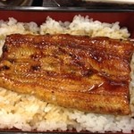 Nihombashiunagiisesada - うな重、テカテカなタレが美味しい