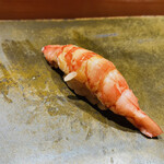 鮨匠 のむら - 写真㉑】車海老(鹿児島県坊津)