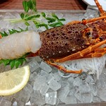 個室居酒屋 稚内漁港×稚内牧場 - 