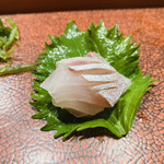 鮨匠 のむら - 【写真⑦】汐っ子(勘八の幼魚)背身(鹿児島県開聞岳沖)