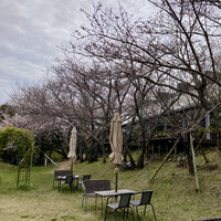 リストランテ フィッシュボーン - 