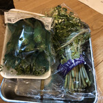 手打ちそばちくま - 野菜：こごみ、ししとう、葉わさび、わらび