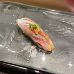 京極寿司 - 真鯵