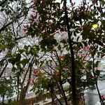 美福苑 船橋店 - 