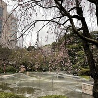 中国料理 古稀殿 - 