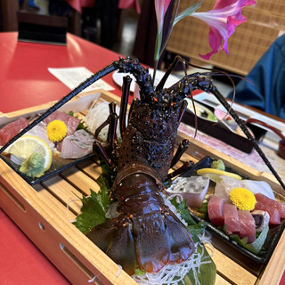 ベルヴェデーレ_0