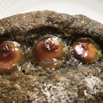 テーラ・テール - ほうじ茶ホワイトチョコ（リベイク）