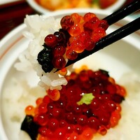 日本料理 「源氏」 ヒルトン名古屋 - 海老かき揚げ+いくら丼