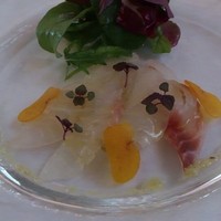リストランテ・マッサ - 前菜 コチのカルパッチョ　カラスミ添え