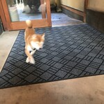 かんな和別邸 - 看板犬