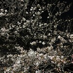 中華料理餃子の屋台 - 