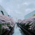 味噌一 中目黒店 - 