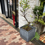 銀座 緑花堂 - 