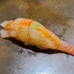 鮨匠 のむら - ⑰波管髭海老【ナミクダヒゲエビ】(鹿児島県錦江湾産、210m)
      産卵期は夏～秋、旬も夏～秋だか通年味はあまり落ちない。
      ご当地のスペシャルなネタで、甘海老よりも甘く複雑なコクと海老特有の旨みがあります