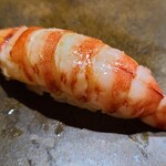 鮨匠 のむら - ⑱車海老(鹿児島県坊津産)
      産卵は初夏～初秋、旬は初夏～初秋、寿命1年
      天然は朱色のドットに濁りがありません
      アツアツの茹で立てその場で剥いて握って下さいますので、濃厚な旨みと甘さが際立ちます