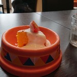 ドッグデプトガーデン - 