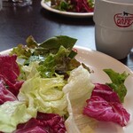 ドッグデプトガーデン - 