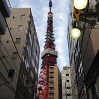 五代目 野田岩 麻布飯倉本店 - （2013年7月）別館から一歩外に出ると。。。