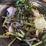 Yabusei - 冷やし山菜