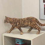 caffe e cane - 横から見ると肉量感