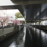 ラーメン 三亀 - 桜も咲いた中村川