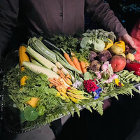 レフェルヴェソンス - 