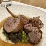 シャントレル - 