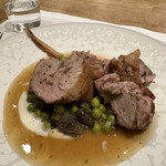 シャントレル - 