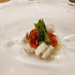 シャントレル - ❹トマト、ヤリイカ、セリ、トマト。