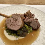 シャントレル - 