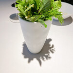 レスピラシオン - 