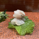 鮨匠 のむら - 勘八幼魚