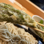 乙蕎麦 - タラの芽の天ぷら　採りたて新鮮　4月の末まで有るかな？　季節限定です