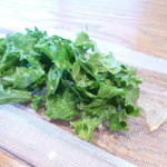 じん市 - トラフグとレタス