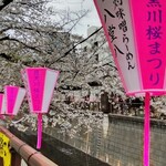 灼味噌らーめん 八堂八 - 目黒川沿いには八堂八さん名入りぼんぼりが3連で飾られておりました