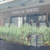 Terres de Truffes, Tokyo