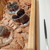 Terres de Truffes, Tokyo - 