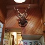うなぎの美鶴 - 鹿の剥製がありました。