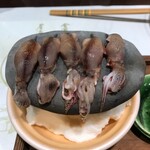 居酒屋 丸奄 - '23/03/24 ほたるいか石焼（税込980円）