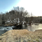 ラビスタ阿寒川 - 窓からは阿寒川の絶景と寛ぐ鹿たちがいつも眺められます。写真右に鹿が休んでいます。