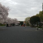 キッチン ブルー グローブ - 広い公園ですね（おまけ）