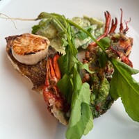 THE COSMOPOLITAN GRILL BAR TERRACE - 